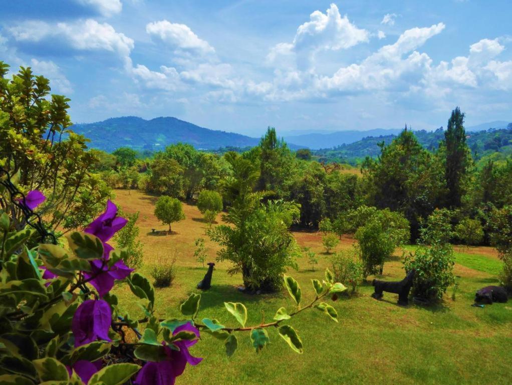 Finca El Cielo San Agustín Kültér fotó