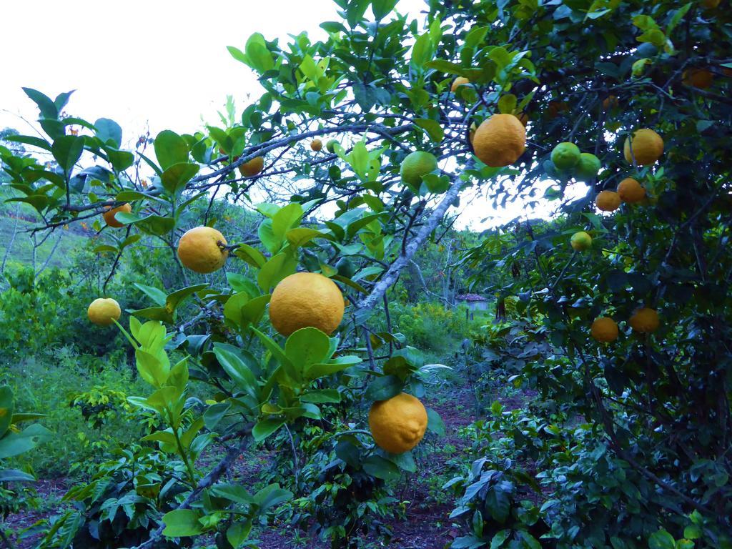 Finca El Cielo San Agustín Kültér fotó