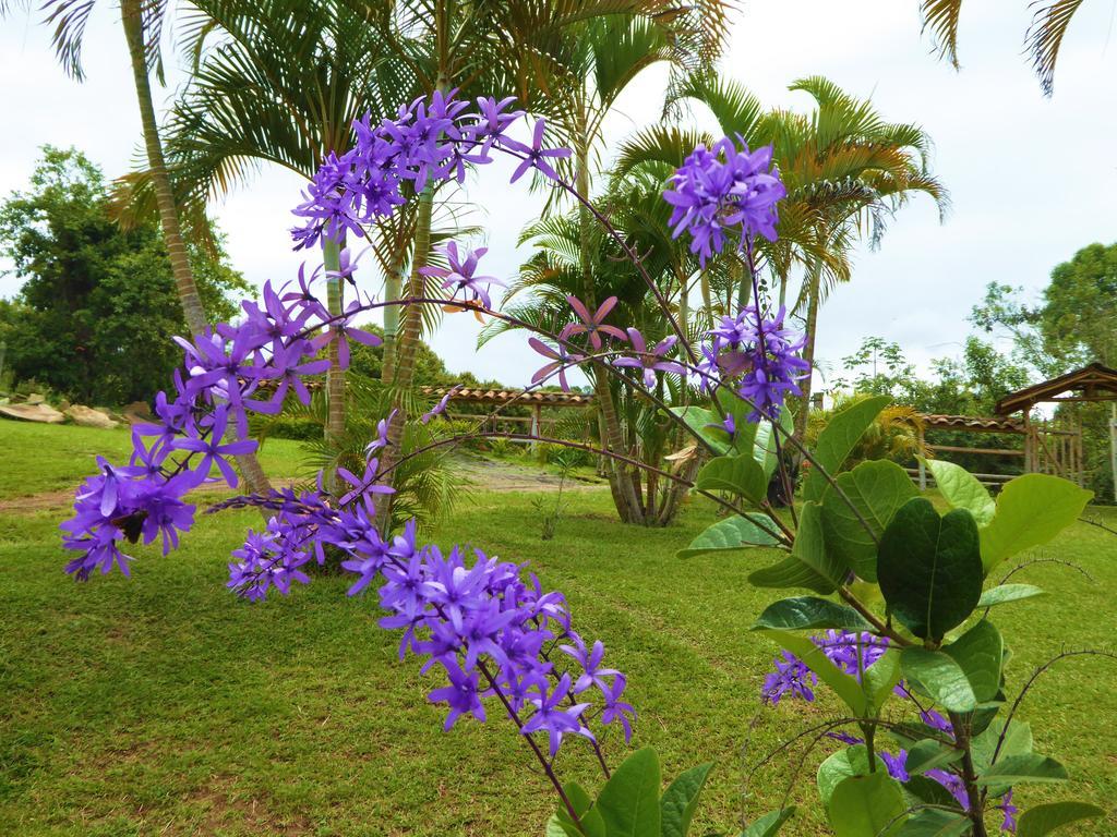 Finca El Cielo San Agustín Kültér fotó