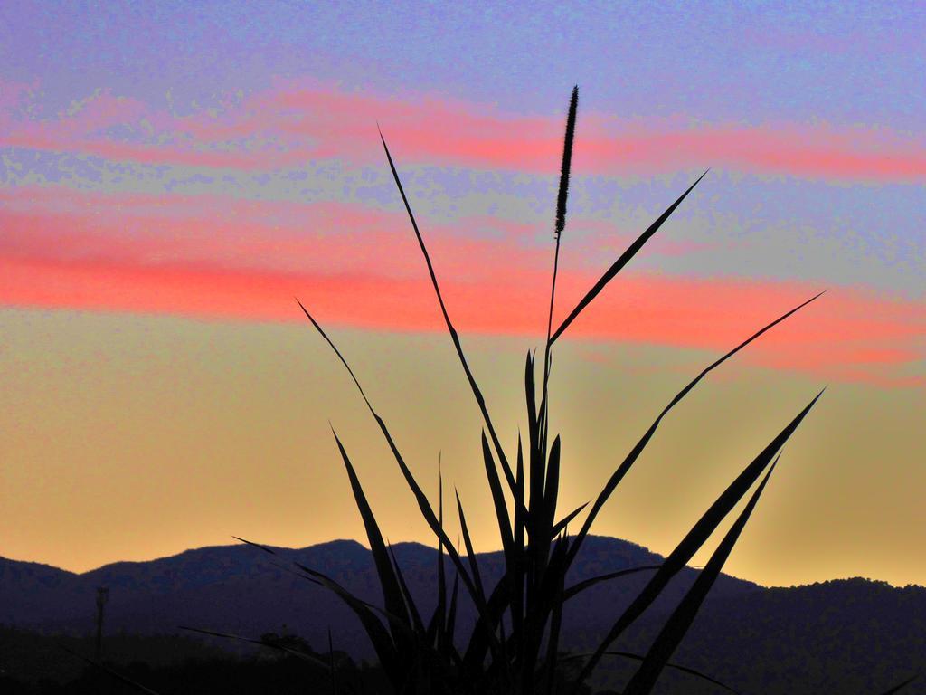 Finca El Cielo San Agustín Kültér fotó